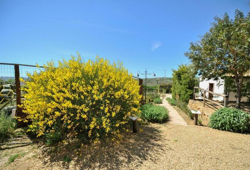 בית מלון כפרי Sorella   Agriturismo La Fattoria Di San Francesco