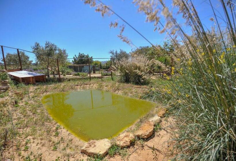 בית מלון כפרי Sorella   Agriturismo La Fattoria Di San Francesco