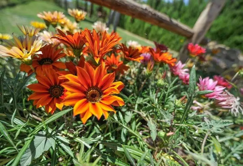 ホテル Sorella   Agriturismo La Fattoria Di San Francesco