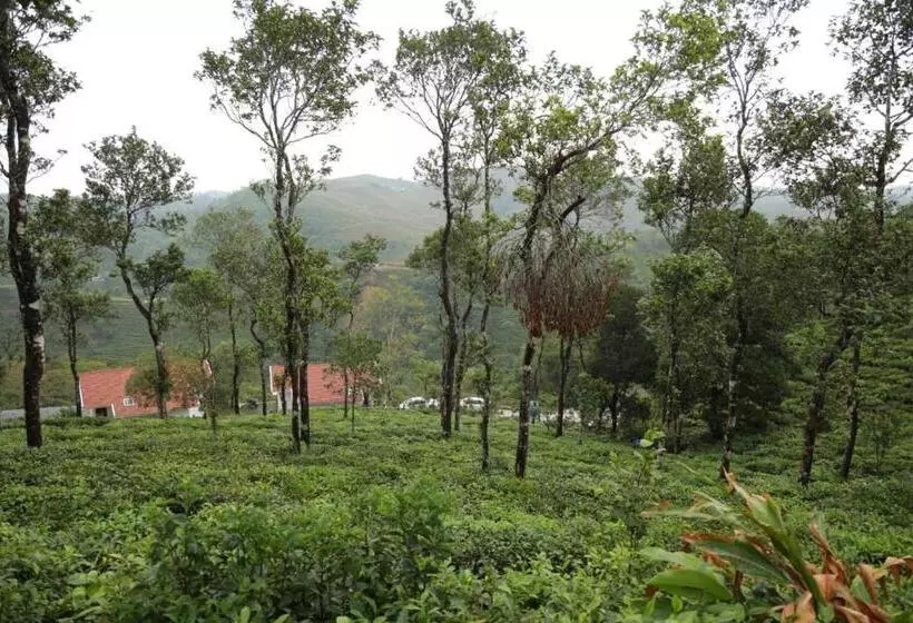 Idam Resort