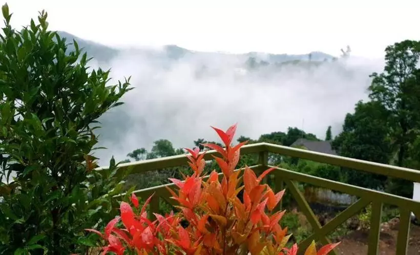 Idam Resort