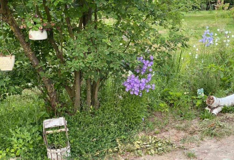 膳宿费 Kulturgutleben Boutiquehotel Seminarhaus