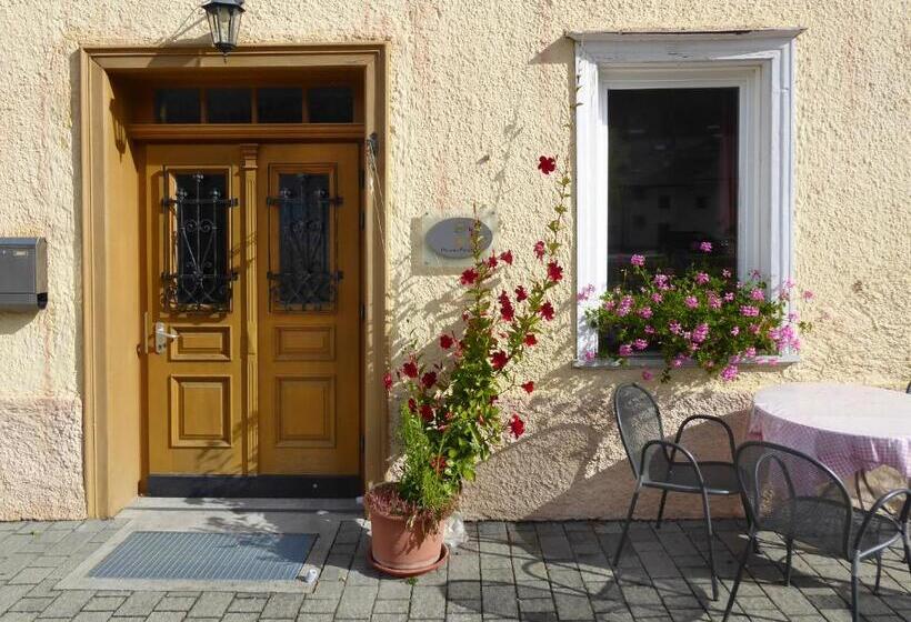 פנסיון Villa Vidal