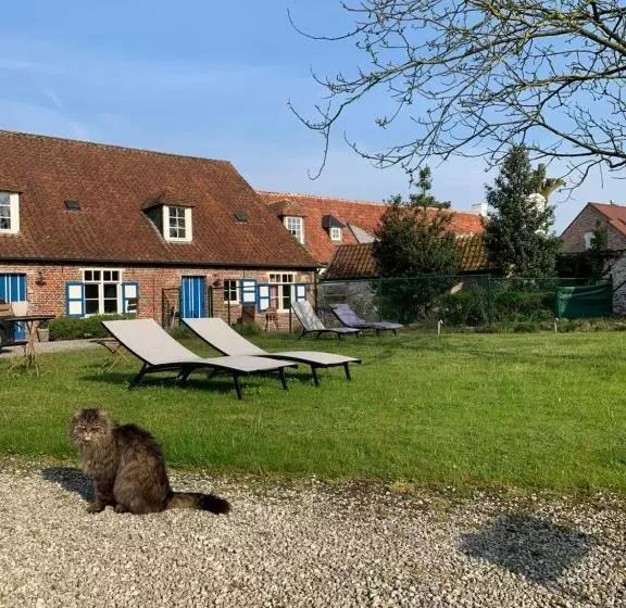 Hamiora Wellness B&b