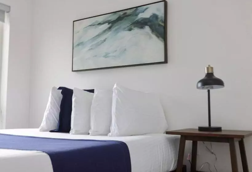 1br Luxury Apartment Peabody Unit 709