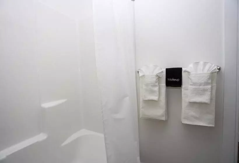 1br Luxury Apartment Peabody Unit 709