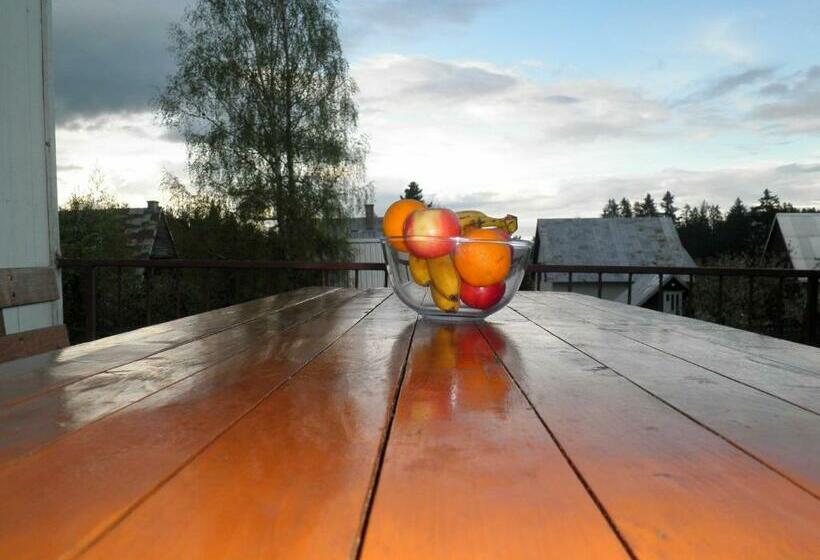 هاستل Central Rustic House