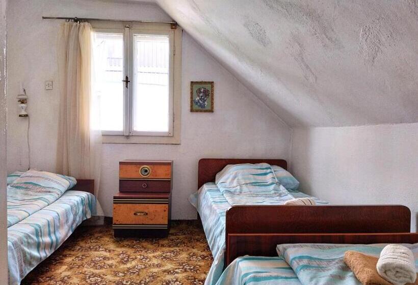 هاستل Central Rustic House