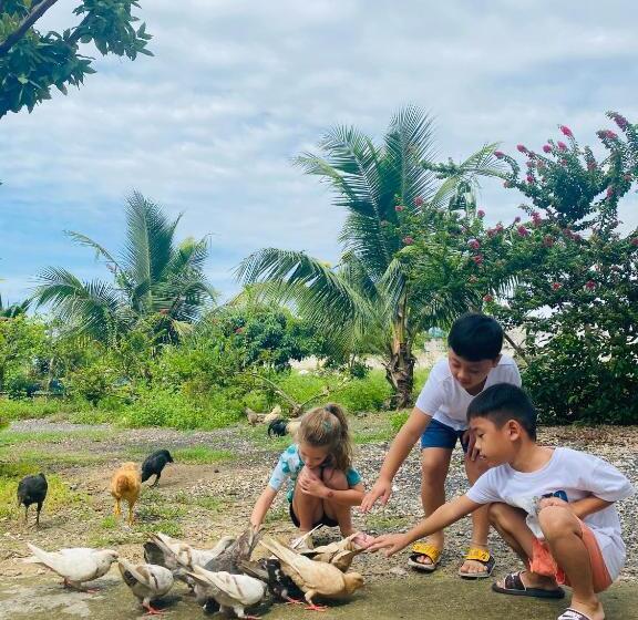 酒店 Như ý Hồ Tràm