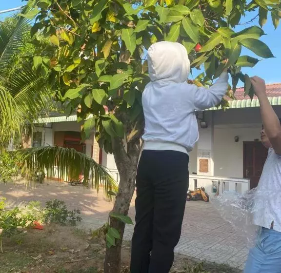 هتل Như ý Hồ Tràm