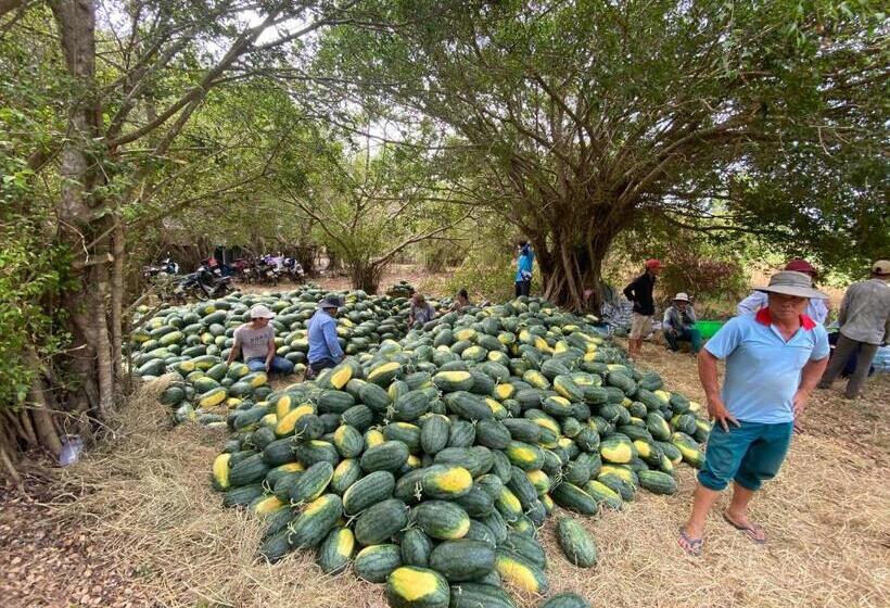 酒店 Như ý Hồ Tràm