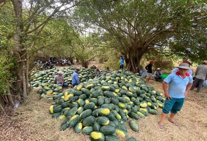 هتل Như ý Hồ Tràm