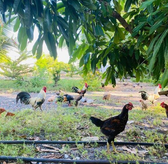 酒店 Như ý Hồ Tràm