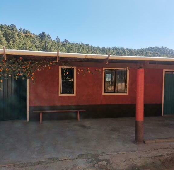 Пансион Casa Del Bosque 2