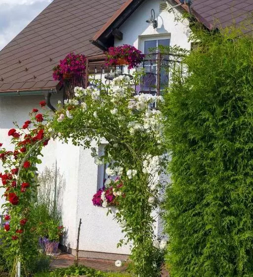 Aamiaismajoitus (B&B) Vila Marcelka