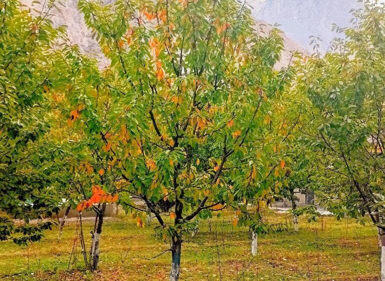 Отель Das E Basi