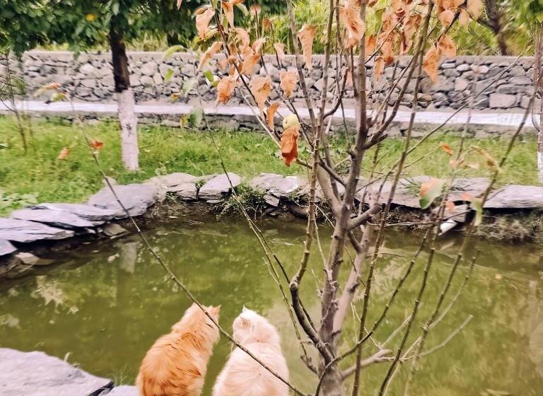 Отель Das E Basi