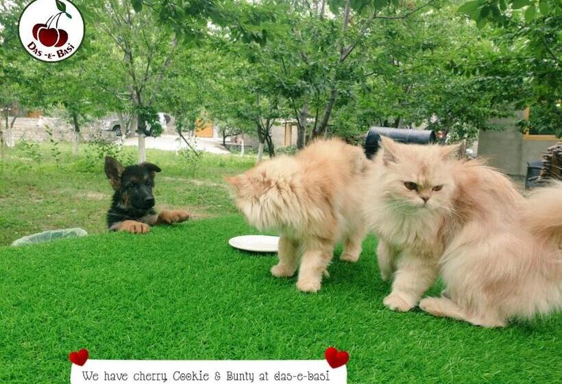 Отель Das E Basi