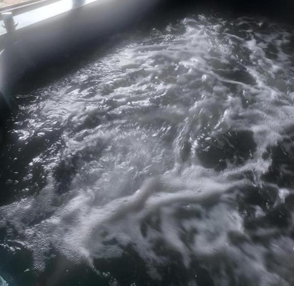 بنسيون Casa Crăiesei