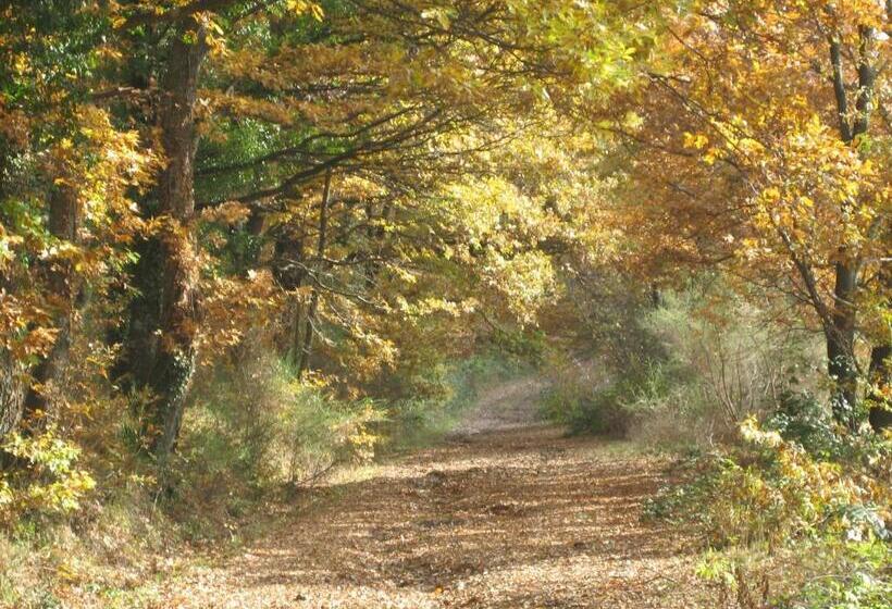 호텔 Agriturismo Il Fragolino