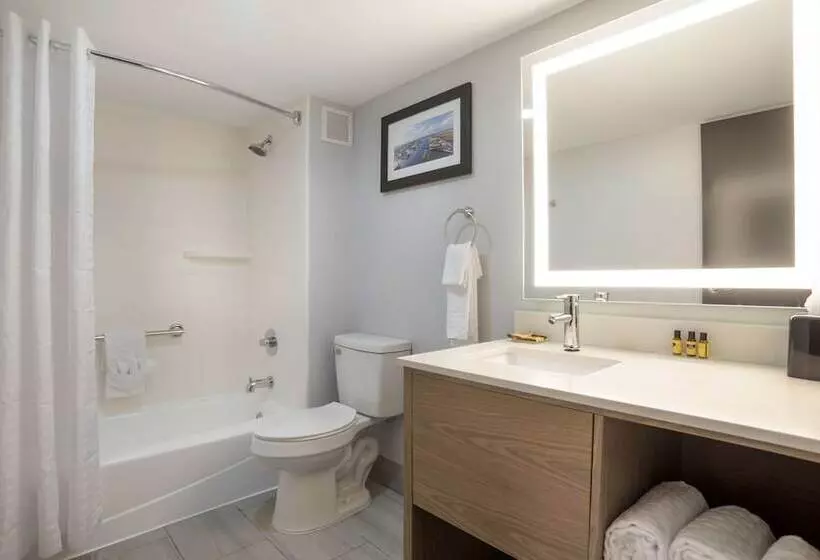 ホテル Best Western Plus Mobile Inn And Suites