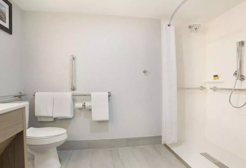 ホテル Best Western Plus Mobile Inn And Suites