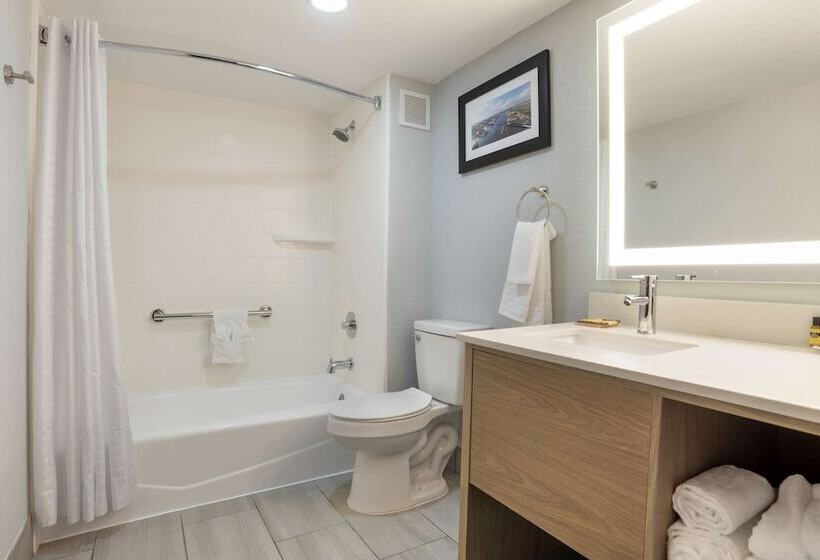 בית מלון כפרי Best Western Plus Mobile Inn And Suites