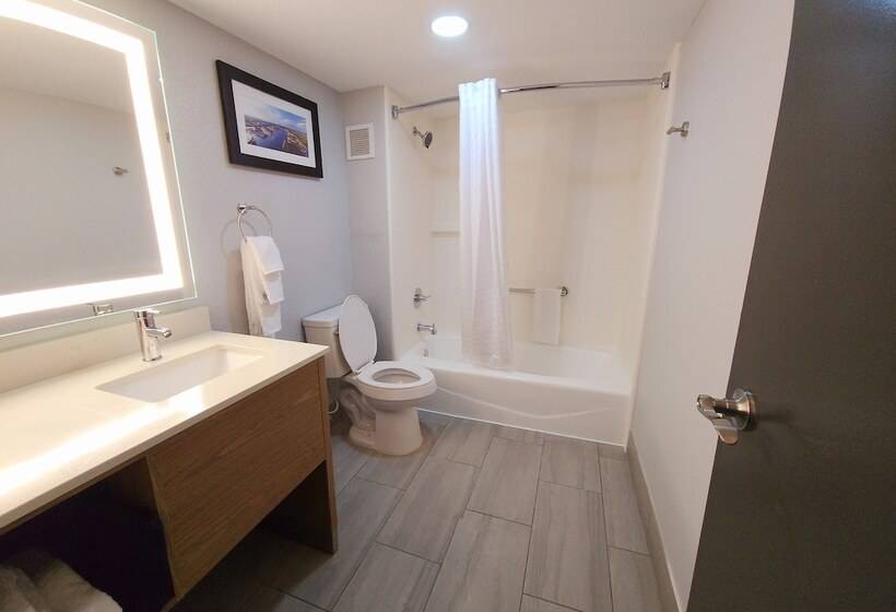 בית מלון כפרי Best Western Plus Mobile Inn And Suites