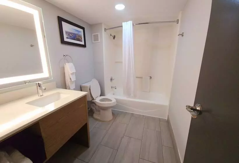 ホテル Best Western Plus Mobile Inn And Suites