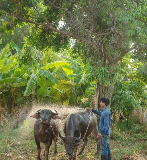 Phanomrung Hostel & Linn Chan Cafe พนมรุ้ง โฮส์เทล แอนด์ ลิณณ์จัง คาเฟ่