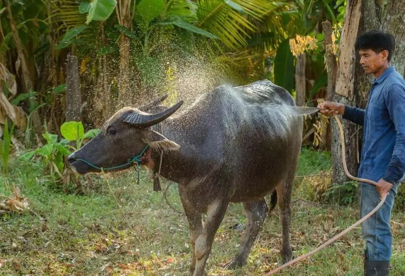 Phanomrung Hostel & Linn Chan Cafe พนมรุ้ง โฮส์เทล แอนด์ ลิณณ์จัง คาเฟ่