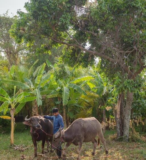 Phanomrung Hostel & Linn Chan Cafe พนมรุ้ง โฮส์เทล แอนด์ ลิณณ์จัง คาเฟ่