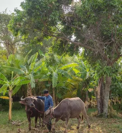 Phanomrung Hostel & Linn Chan Cafe พนมรุ้ง โฮส์เทล แอนด์ ลิณณ์จัง คาเฟ่