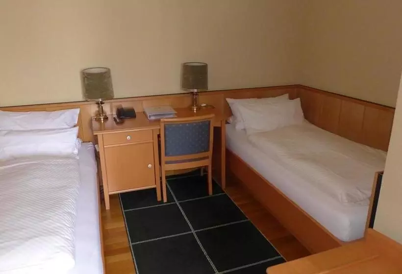 Central Hotel Greiveldinger