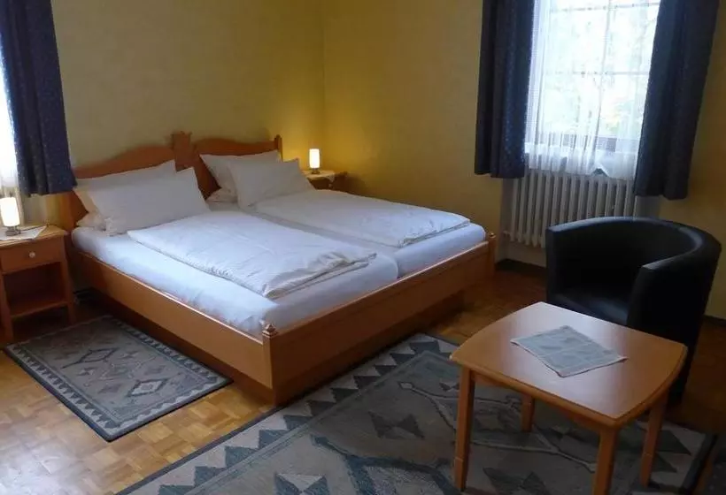 Central Hotel Greiveldinger