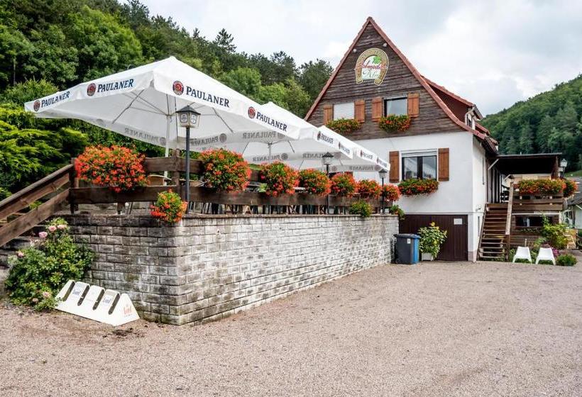 Отель Bergstation Schmeddnalm