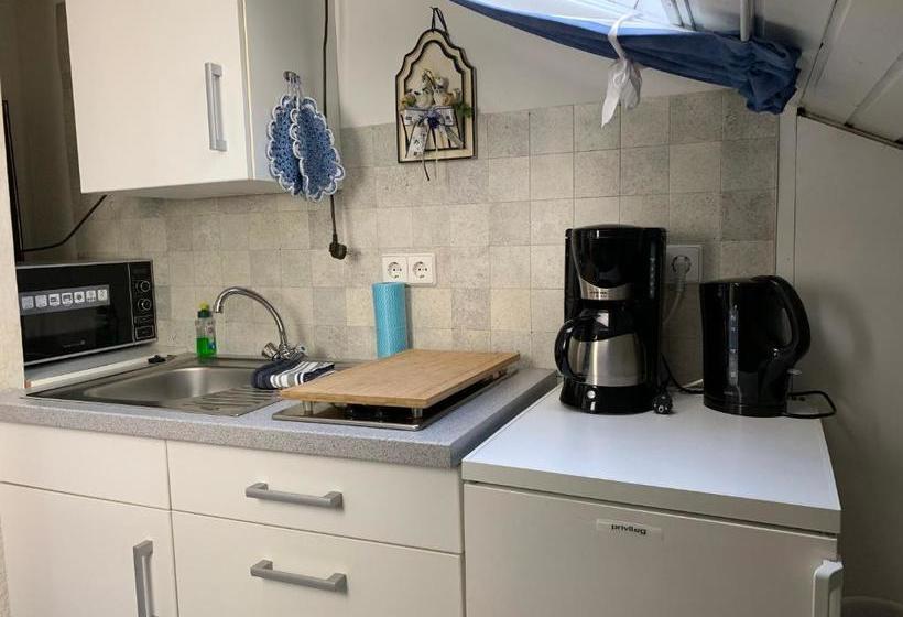 בית מלון כפרי Gästehaus Steuer