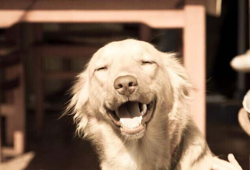 فندق Haus Siegerland