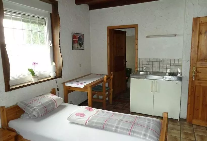 ホテル Haus Siegerland