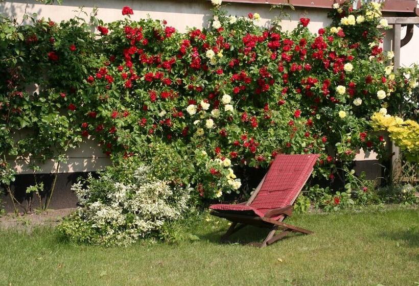 ホテル Pension Villa Beer