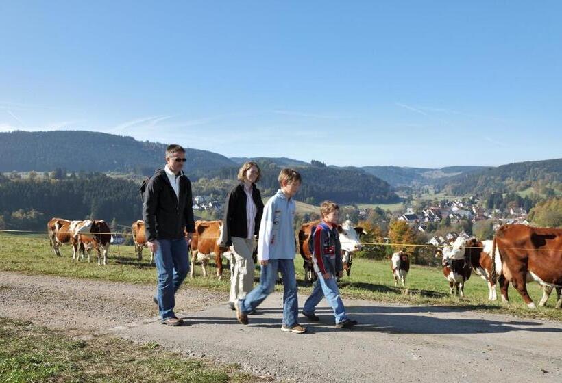 فندق Pension Waldwinkel