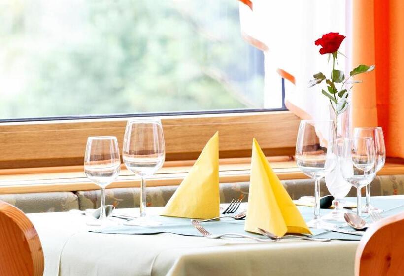 فندق Pension Waldwinkel