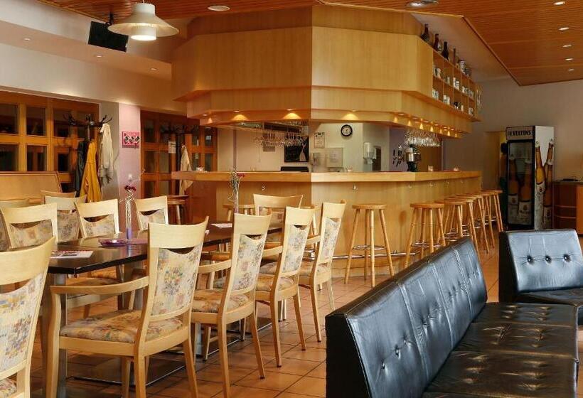 ホテル Tagungs  Und Bildungszentrum Steinbach/taunus