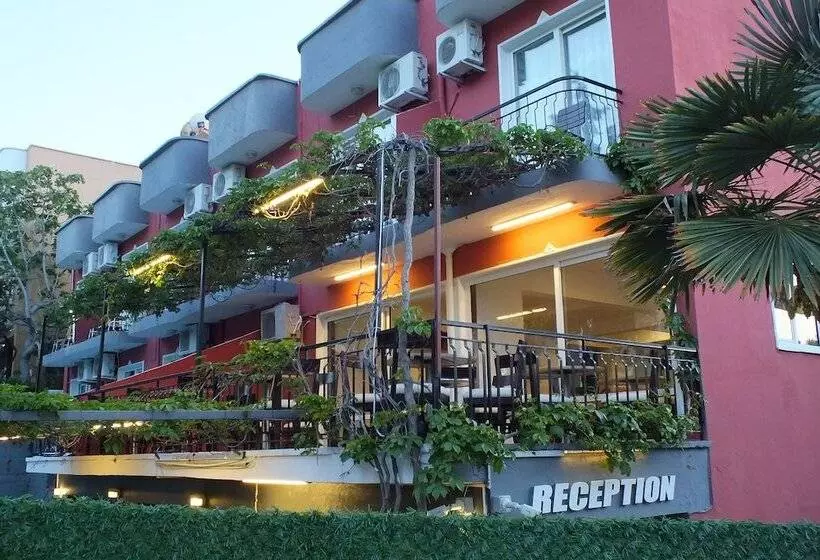 Avalon Otel
