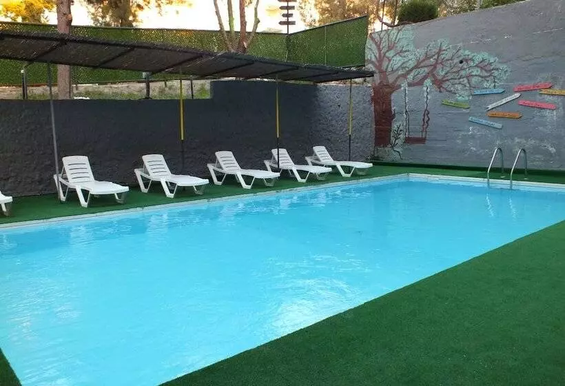 Avalon Otel