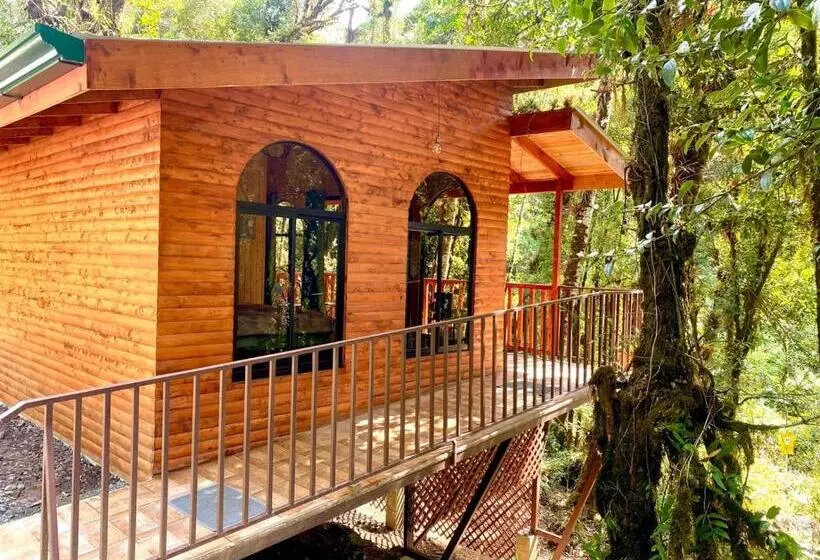 ホテル Cabaña Anturios