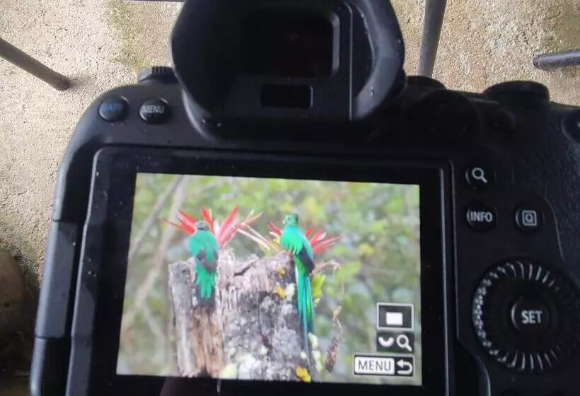 ホテル Cabaña Anturios