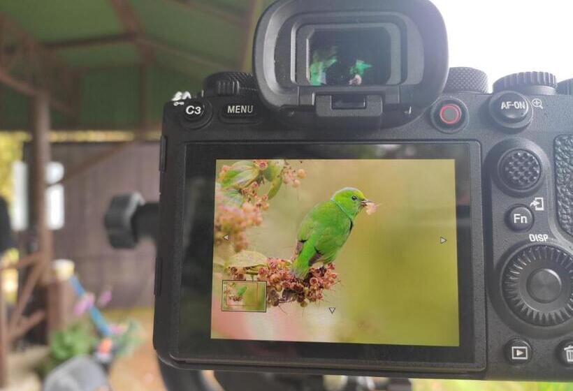 酒店 Cabaña Anturios