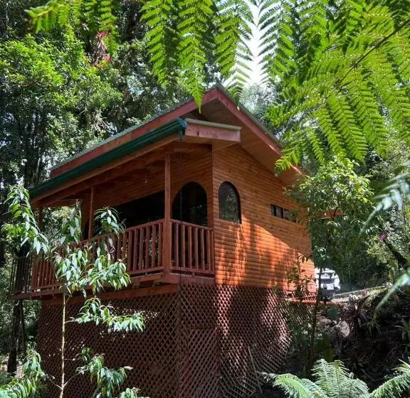 ホテル Cabaña Anturios