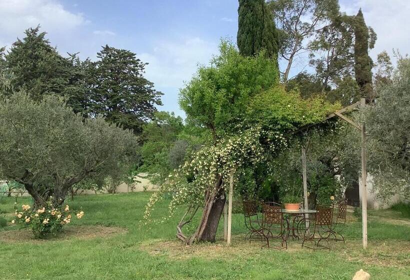 Пансион Mas Des Oliviers